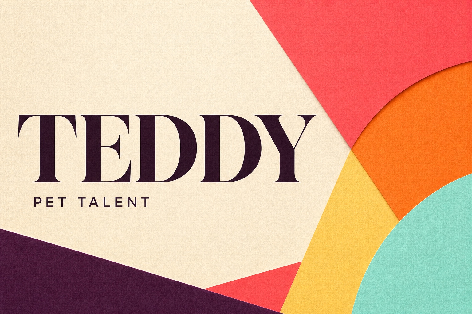 Abstract editorial title card reading Teddy Pet Talent, with coral, orange, yellow, aqua, and plum paper shapes